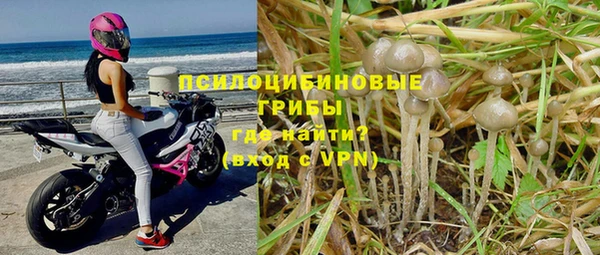 амфетамин Горнозаводск