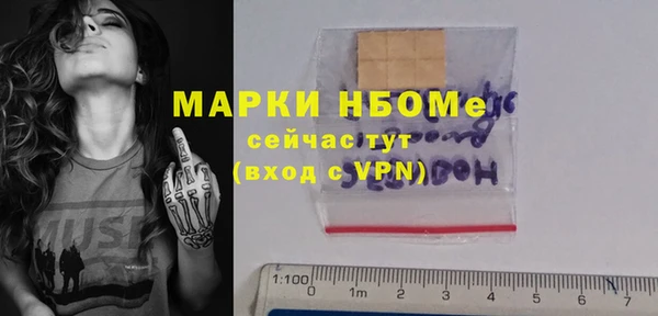 хмурый Горняк