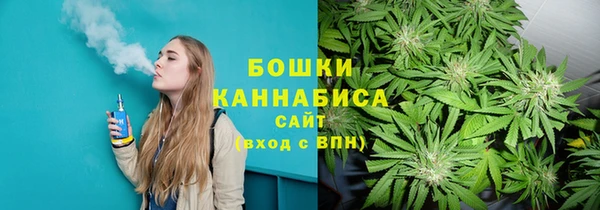 трава Горно-Алтайск